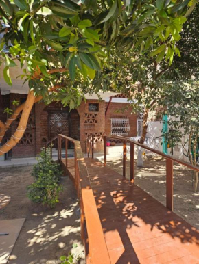 Casa Helvetica